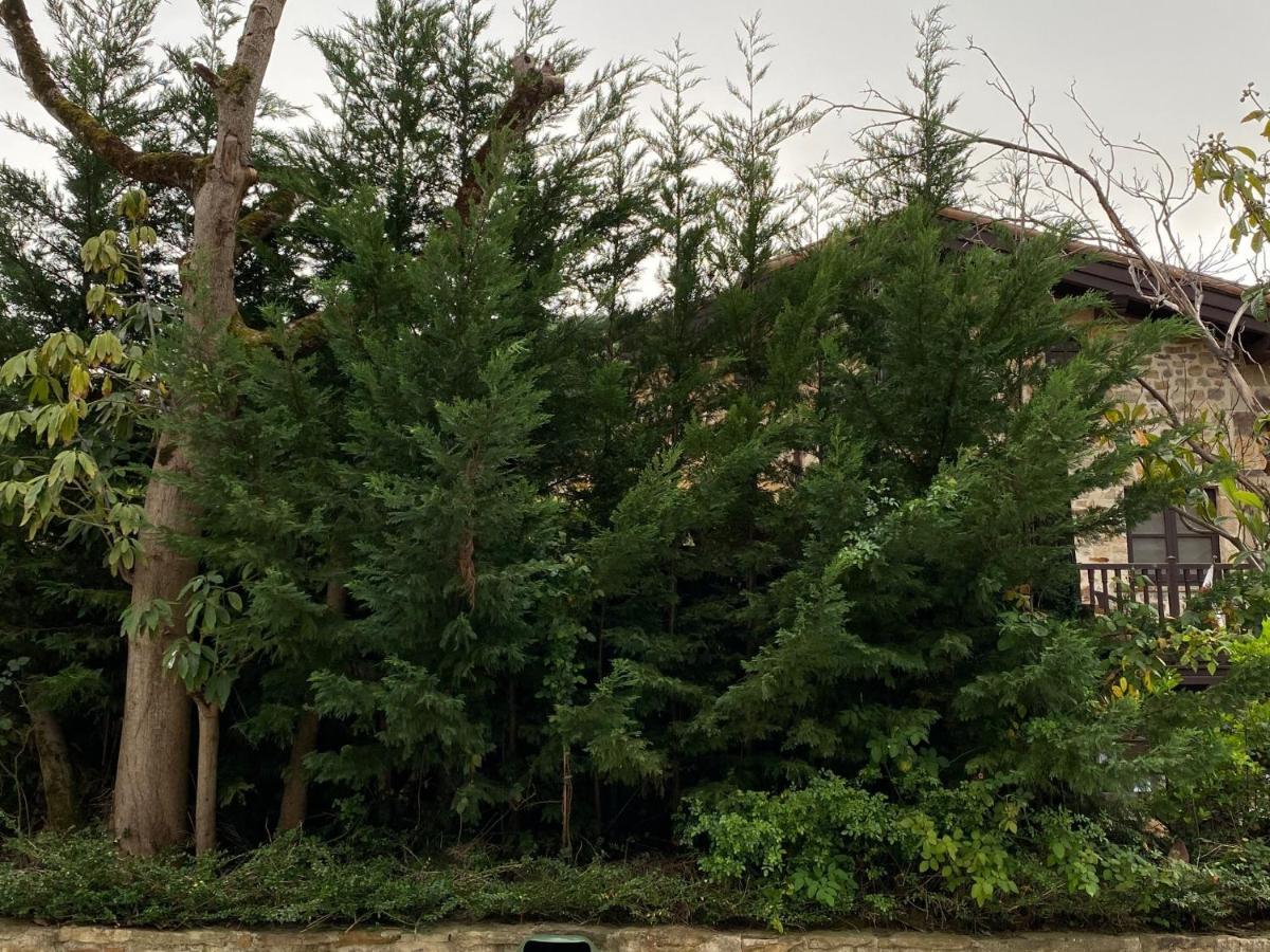 Posada Y Apartamentos Trebuesto De Guriezo Exteriör bild